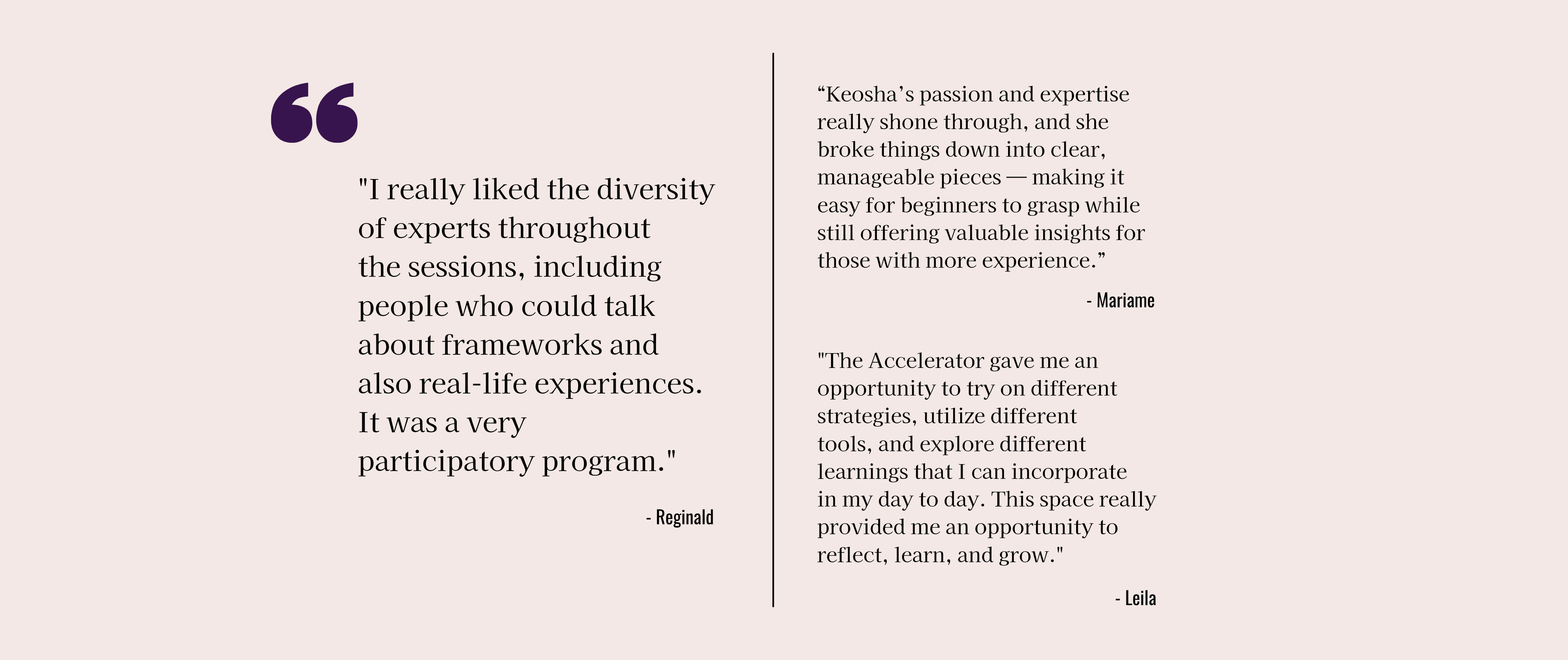 Testimonials about the Accelerator from past participants